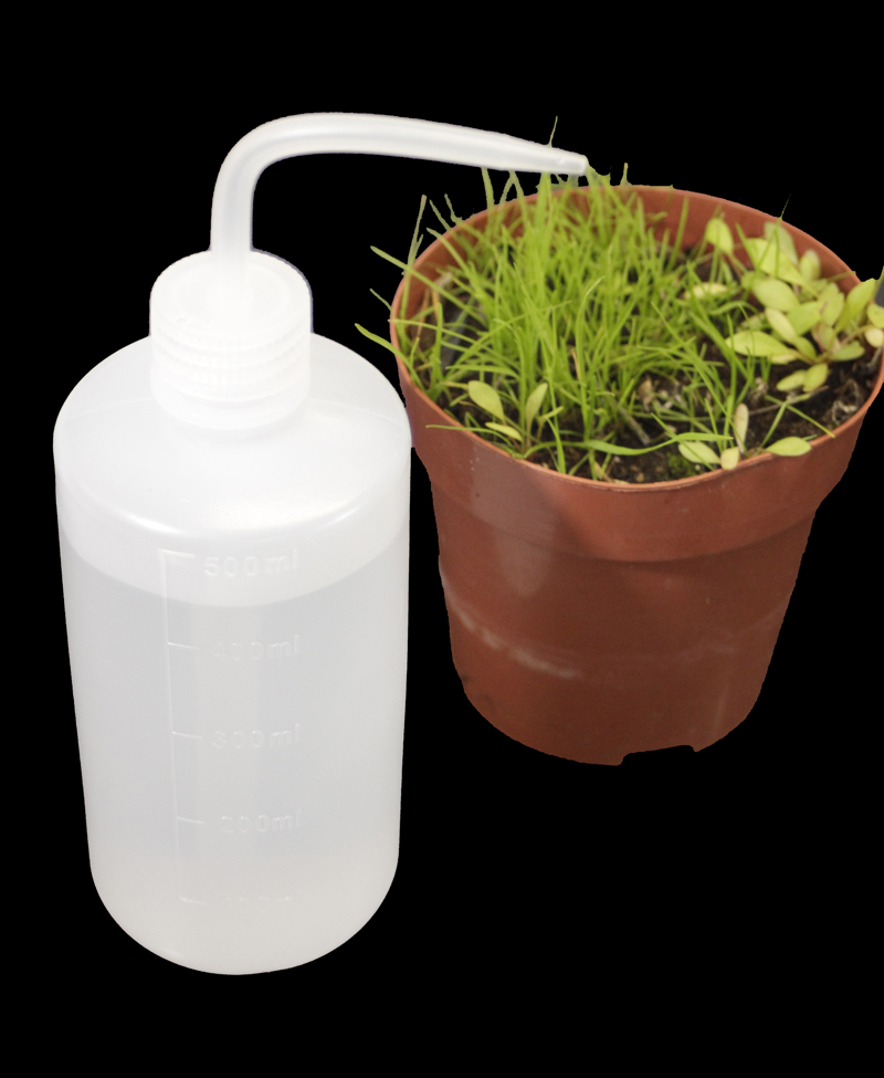 Bewässerungssysteme aus PET-Flaschen - Mein schöner Garten Bewässerungssysteme aus PET-Flaschen - Mein schöner Garten
